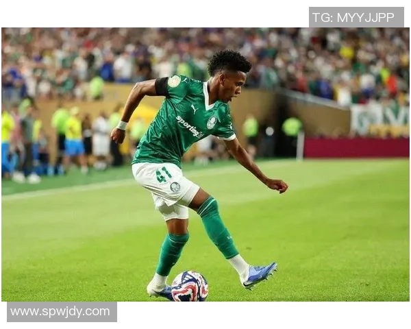 埃斯特旺:期望未来许多年能进许多球,并持续让蓝军球迷们高兴 埃斯特旺:期望未来许多年能进许多球,并持续让蓝军球迷们高兴